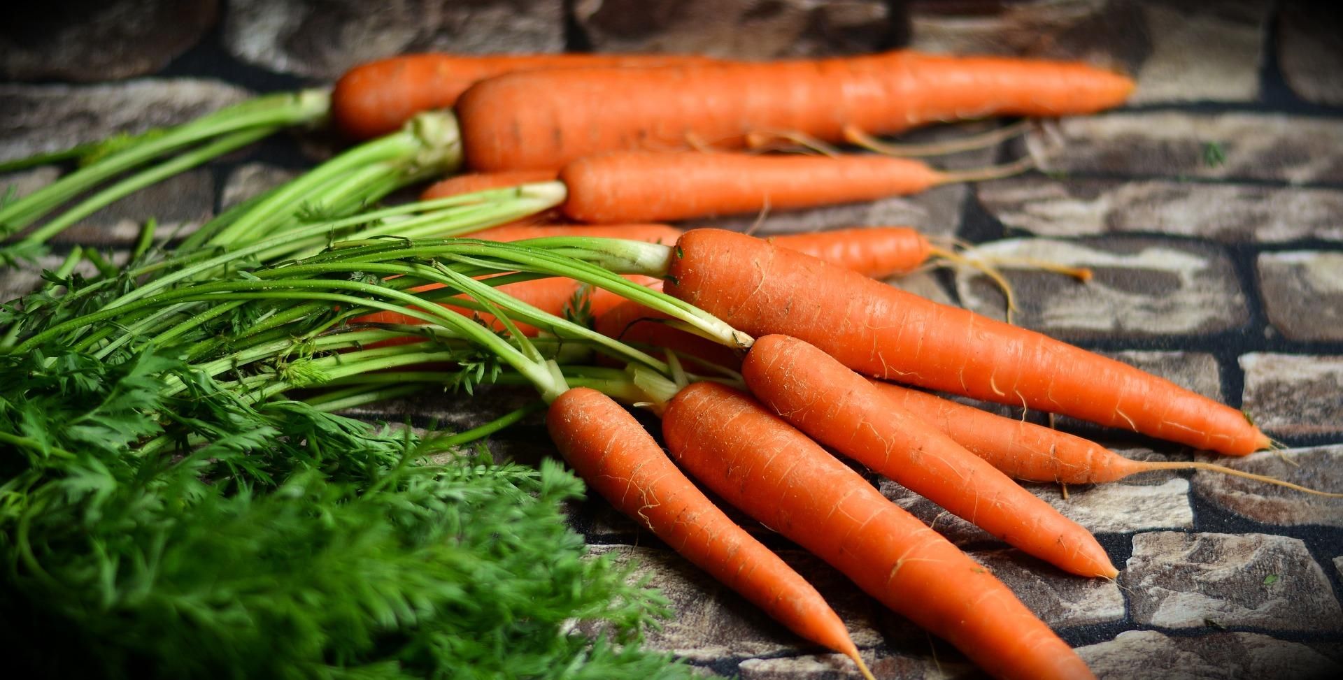 Морковь снова выросла в цене: объяснение причины