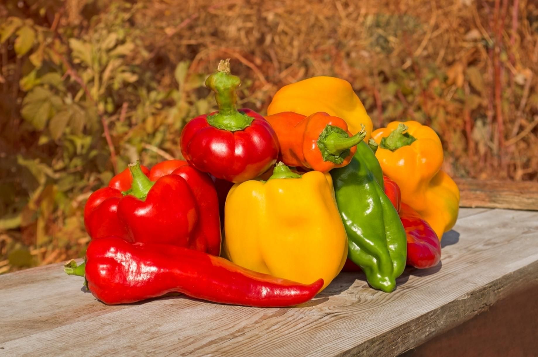 Самый вкусный овощ 2021: какой продукт победил Самый вкусный овощ 2021: какой продукт победил