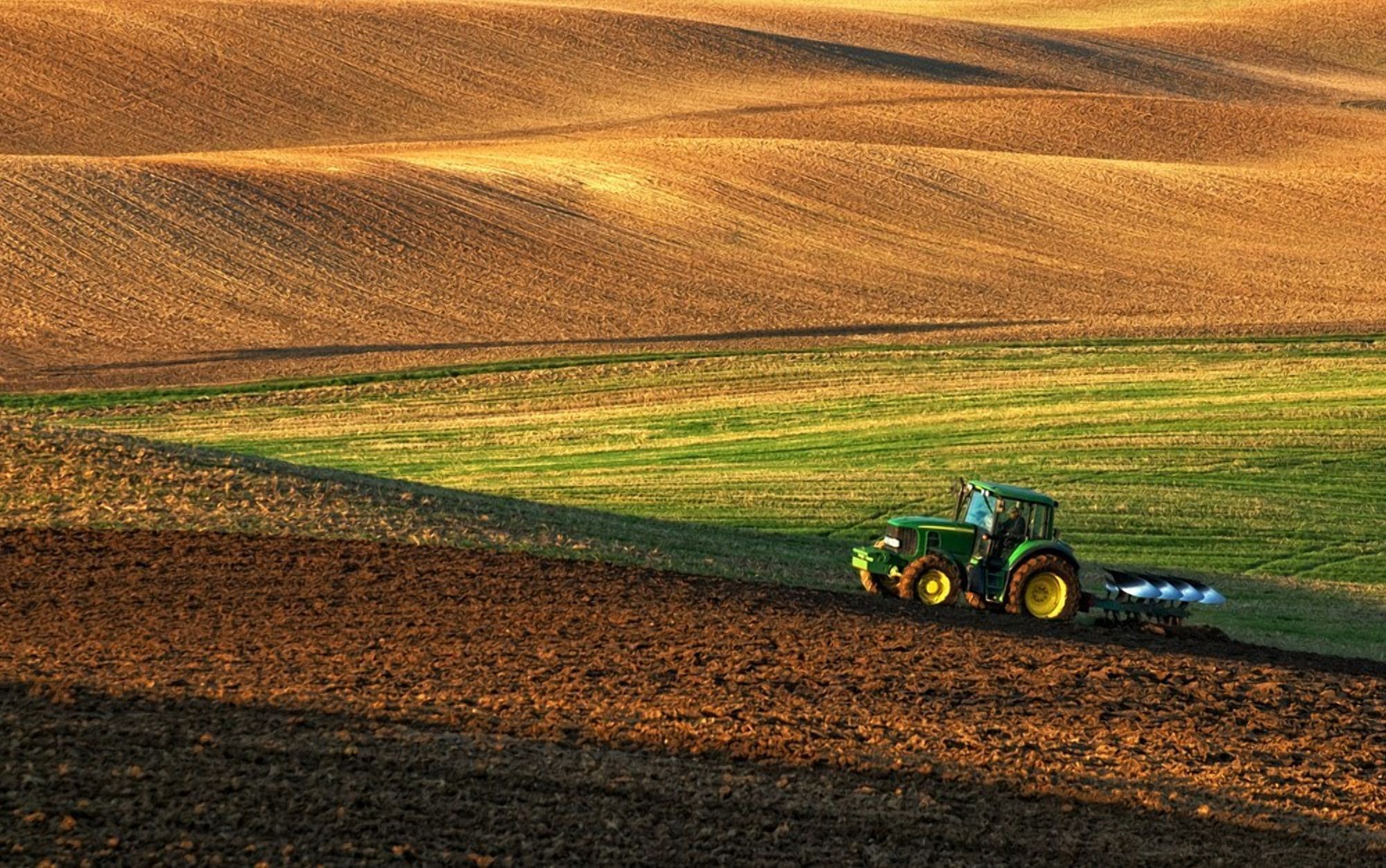 Незаконне отримання землі в Україні: які найбільш поширені схеми
