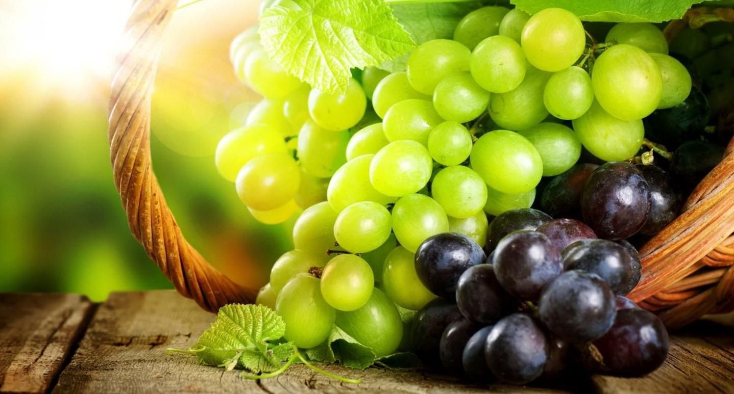 Рекордний урожай винограду: які визначальні складові хорошого результату