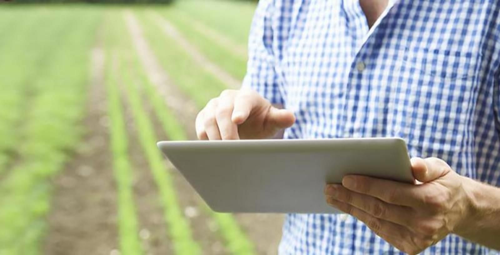 Украинская ИТ-компания создала специализированную систему для аграриев: какие преимущества
