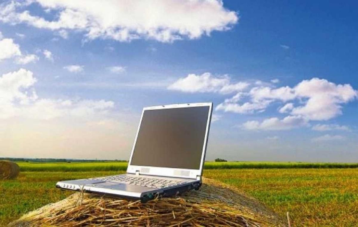 Инновации в аграрном секторе Инновации в аграрном секторе