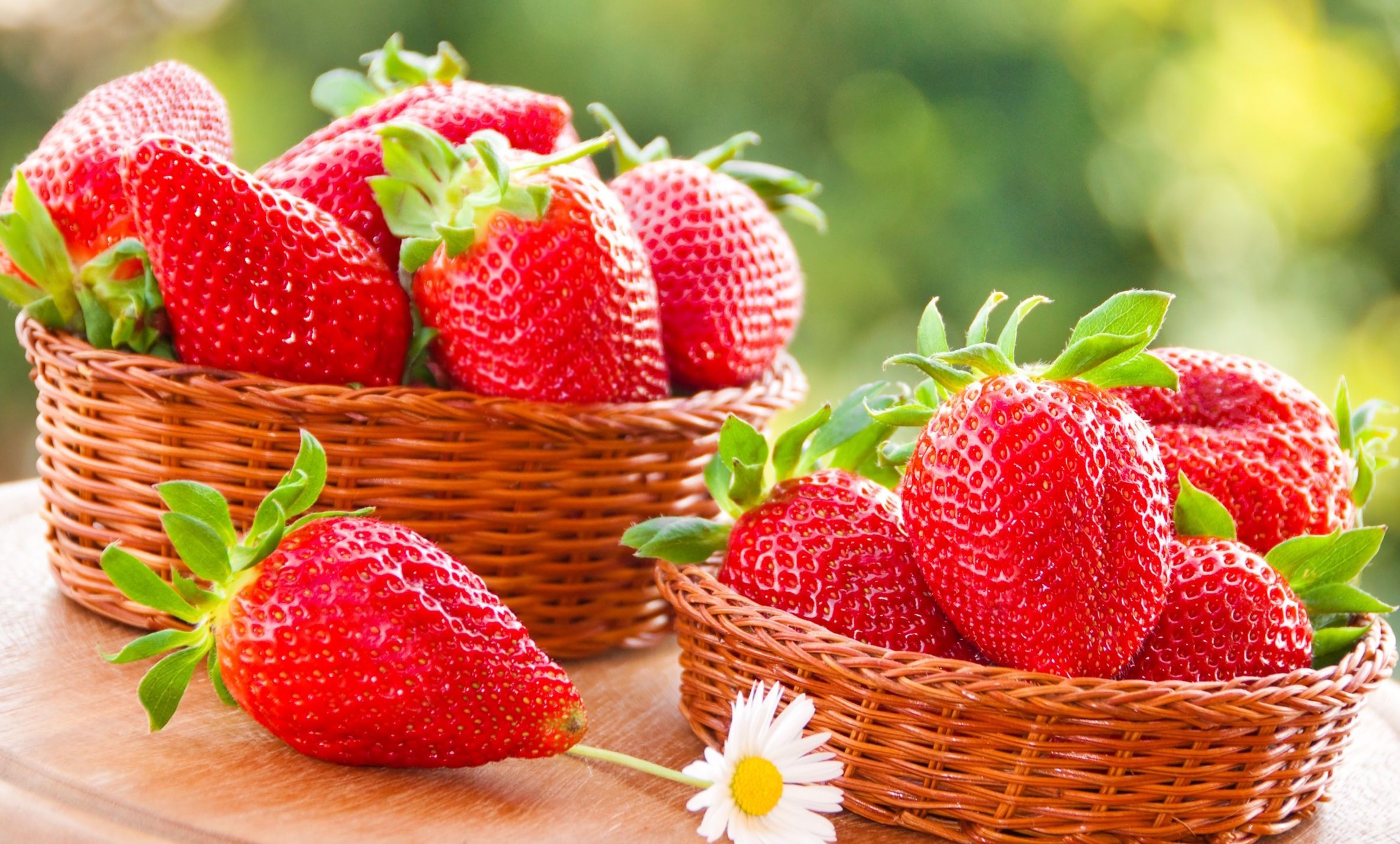 В Турции уже начали собирать клубнику В Турции уже начали собирать клубнику