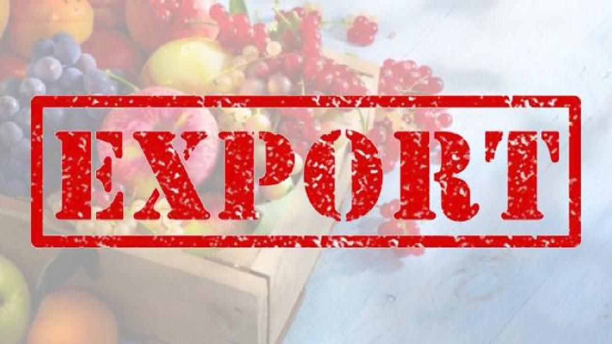 Экспорт – важная статья доходов Украины
