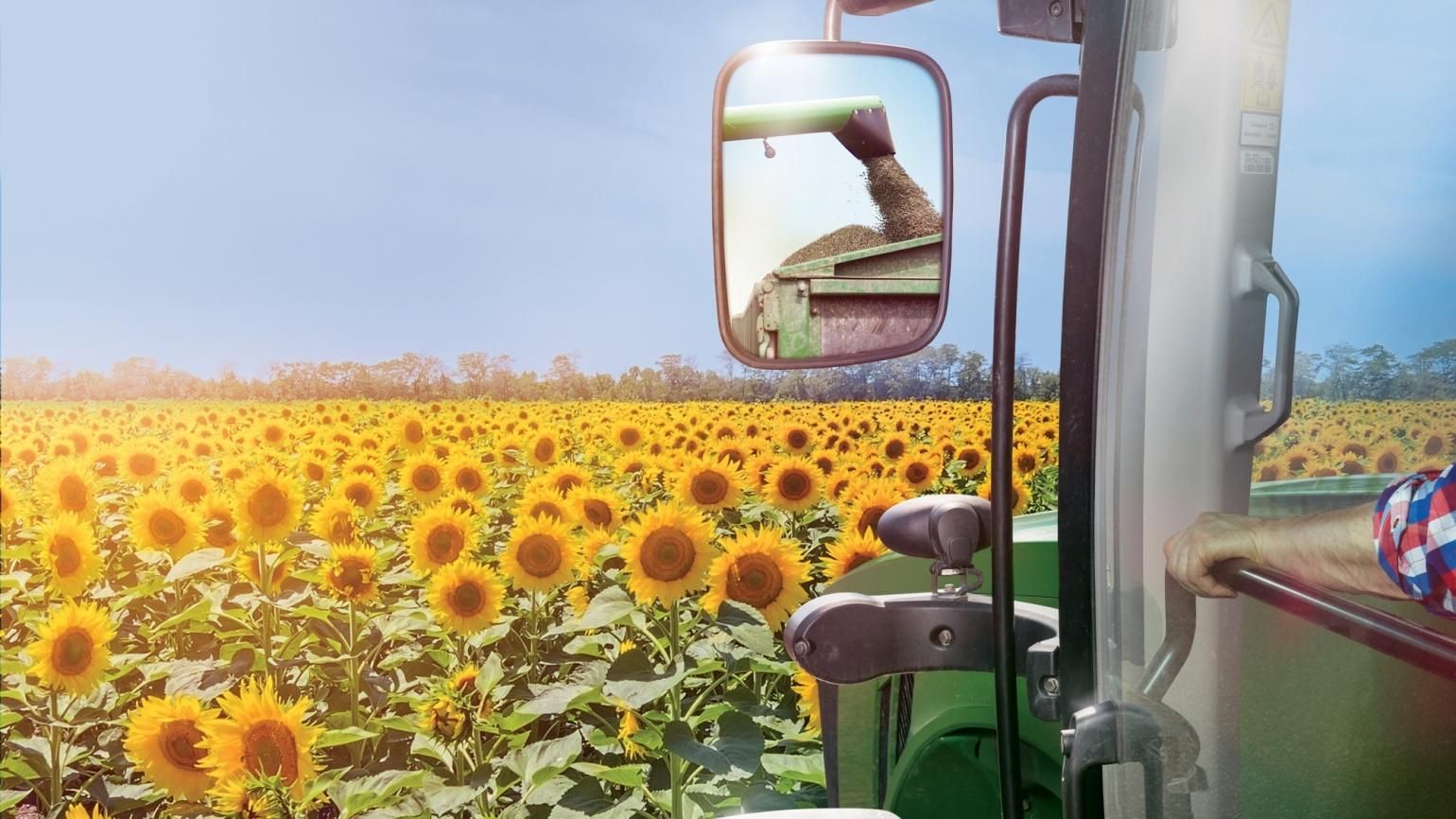 Технология Clearfield Plus: секрет урожая подсолнечника– контроль сорняков и совершенные гибриды Технология Clearfield Plus: секрет урожая подсолнечника– контроль сорняков и совершенные гибриды