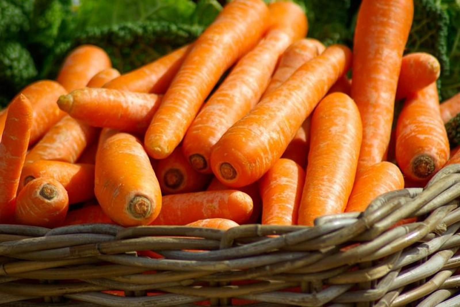 Ціна на моркву далі зростатиме: чого очікувати