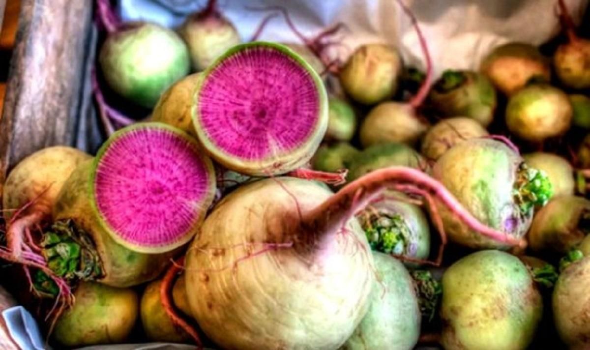 Арбузная редька Арбузная редька