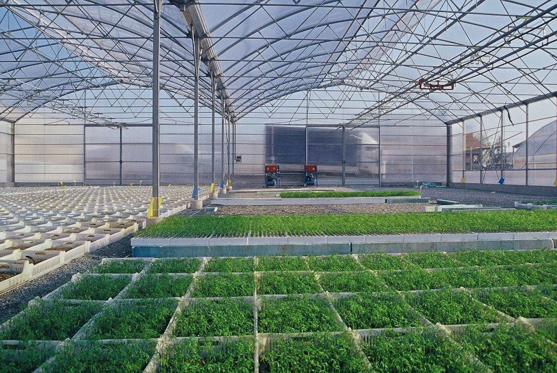 Інновація для теплиць: в Італії розробили ефективну затінювальну сітку Інновація для теплиць: в Італії розробили ефективну затінювальну сітку