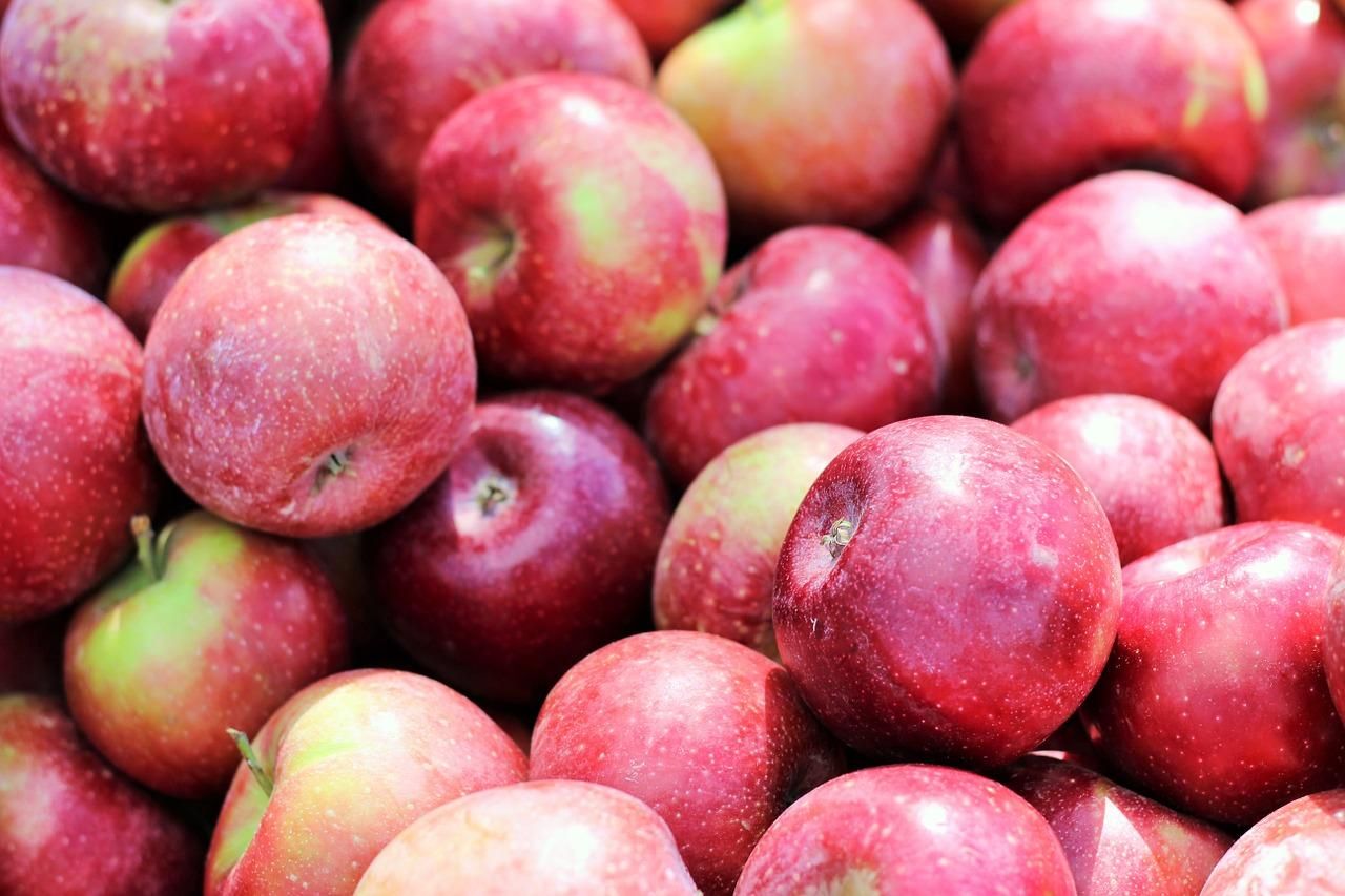 В Італії створили сорт яблука з тривалим терміном зберігання