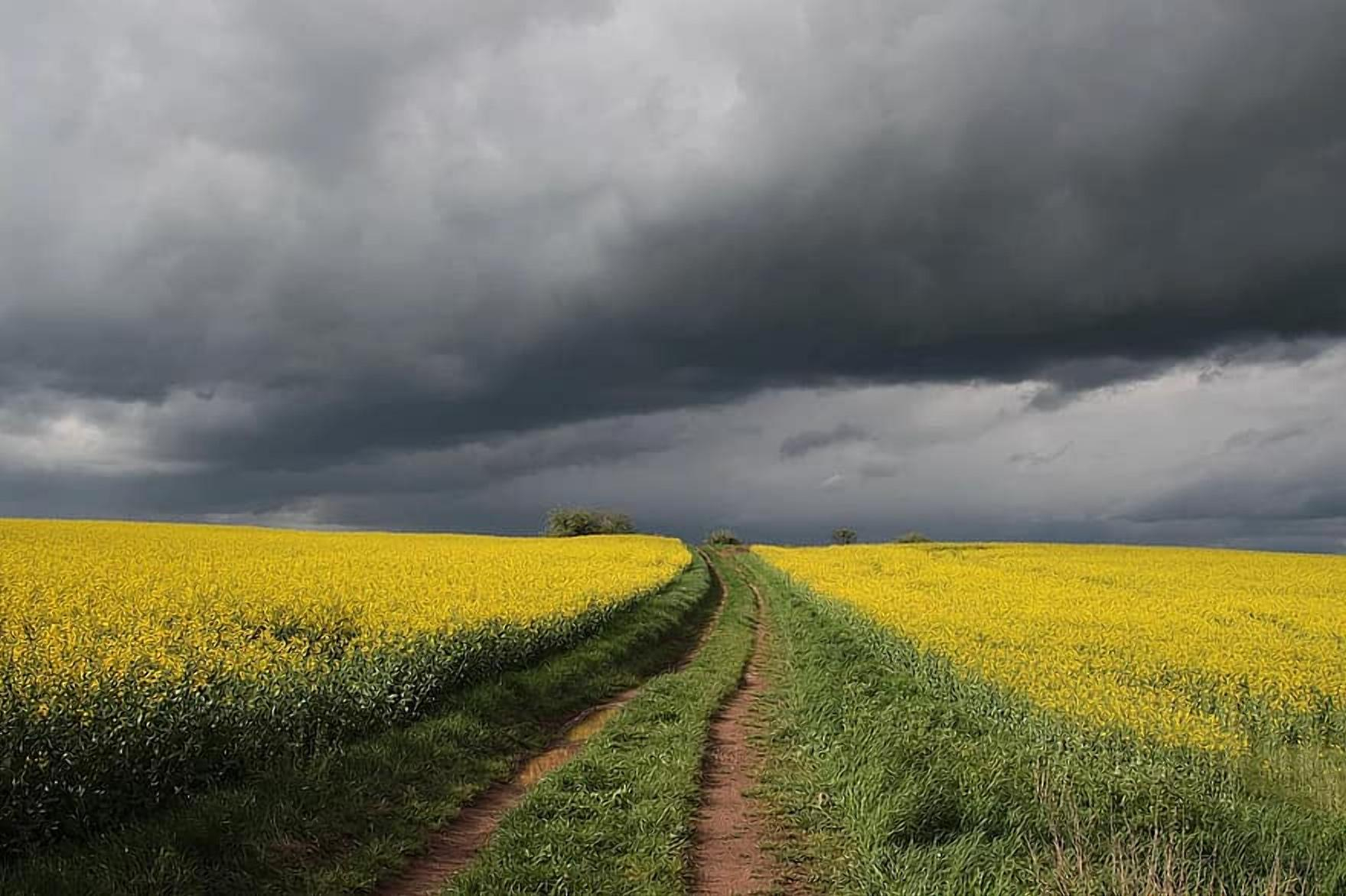 Україні прогнозують аномальну весну: чого чекати фермерам