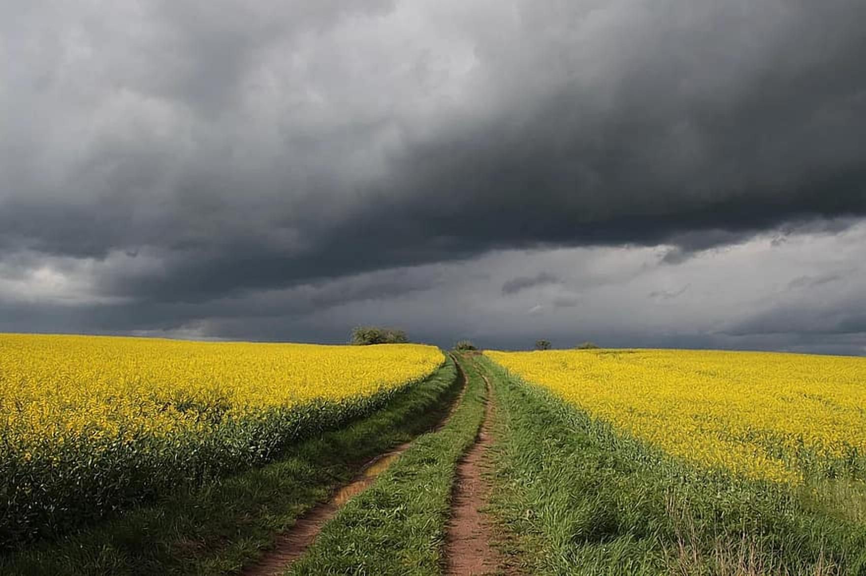 Украине прогнозируют аномальную весну: чего ждать фермерам Украине прогнозируют аномальную весну: чего ждать фермерам