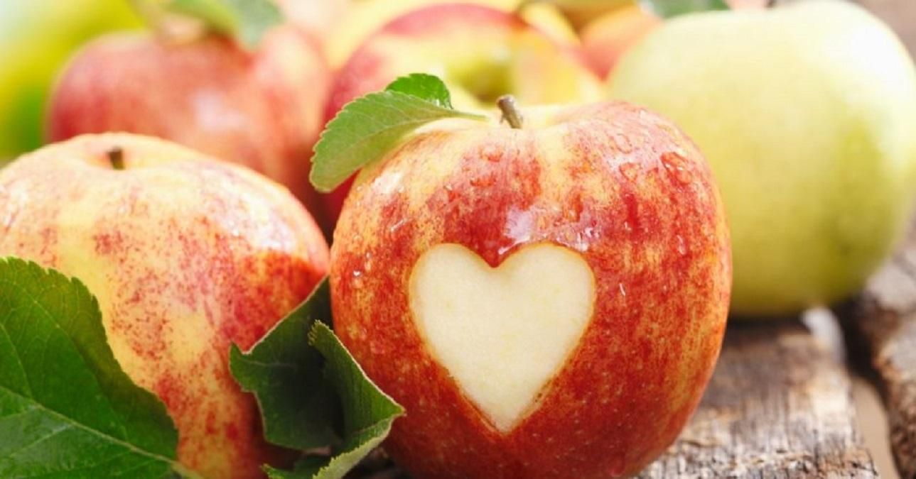 Любовь к еде – тоже любовь Любовь к еде – тоже любовь