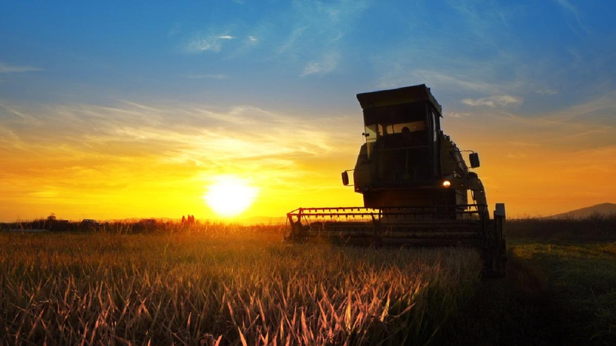 Украина на мировом рынке, цены на пшеницу, перспективные улитки: важнейшие агроновости недели