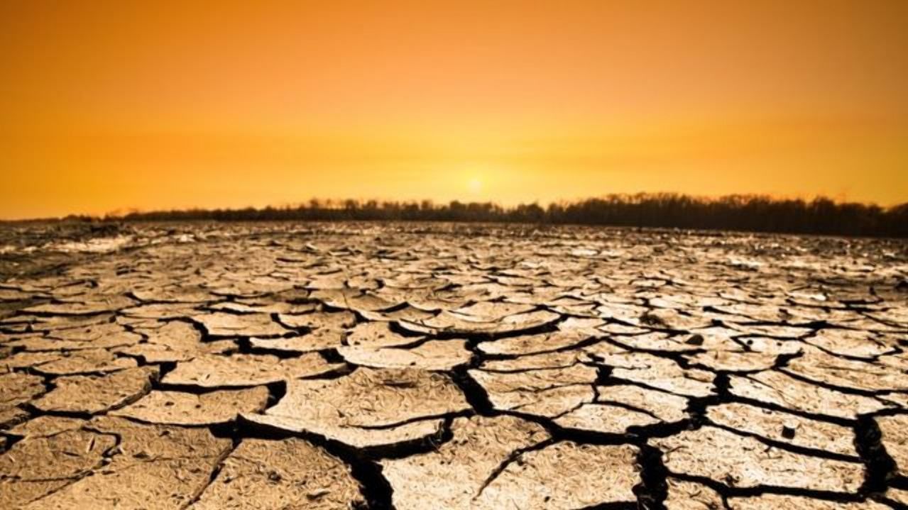 Юг Украины может превратиться в пустыню: неутешительный прогноз изменения климата