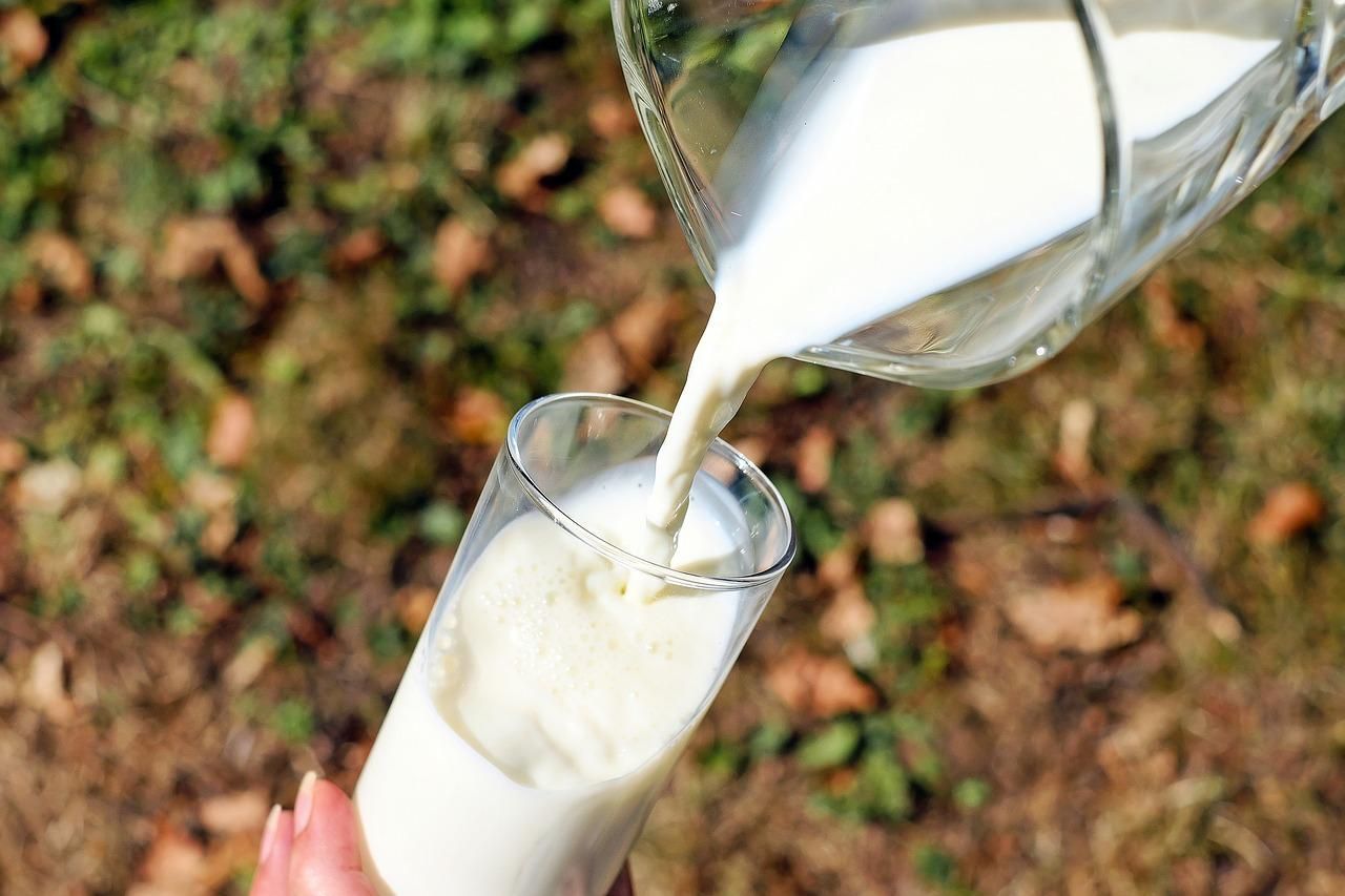 Молоко з ячменю: унікальний продукт не поступається в смаку та поживності тваринному