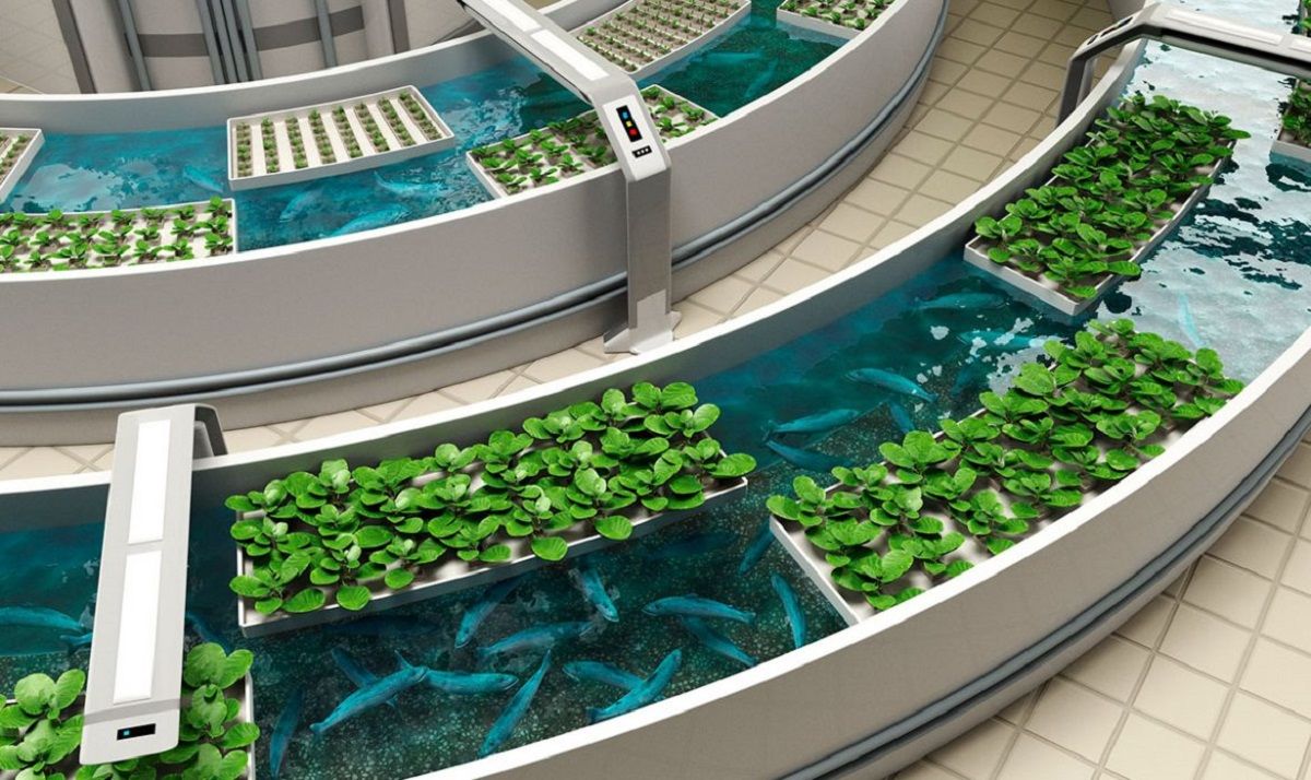 Інтегрована агроакваферма Інтегрована агроакваферма