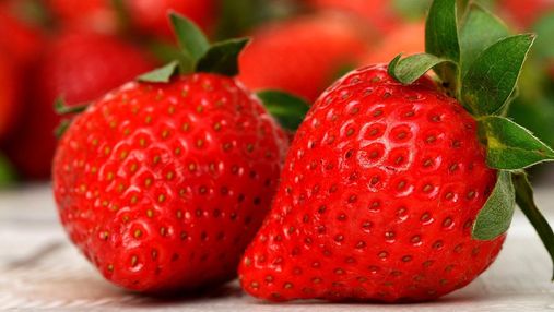 Гігантська полуниця: в Ізраїлі виростили ягоду, яка претендує на Книгу рекордів Гіннеса