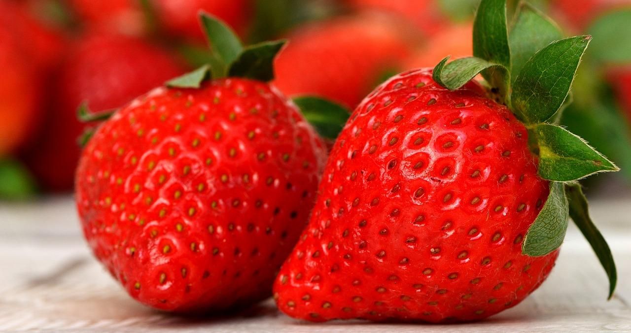 Гигантская клубника: в Израиле вырастили ягоду, которая претендует на Книгу рекордов Гиннеса