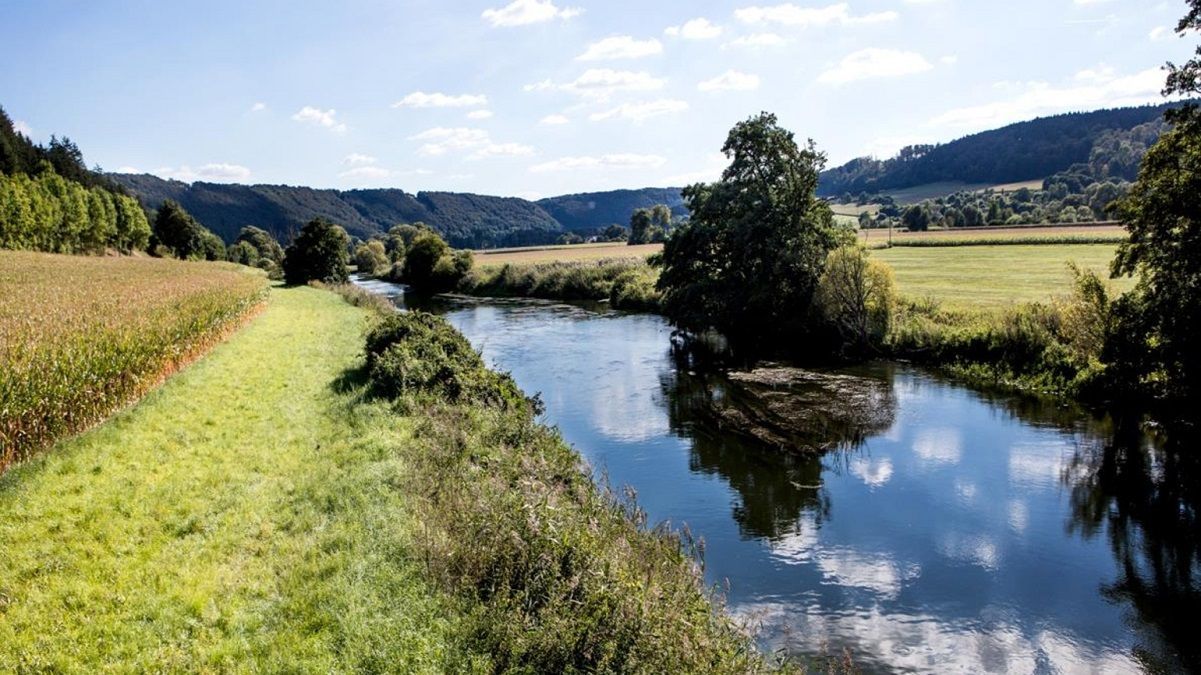 Устойчивое развитие Устойчивое развитие