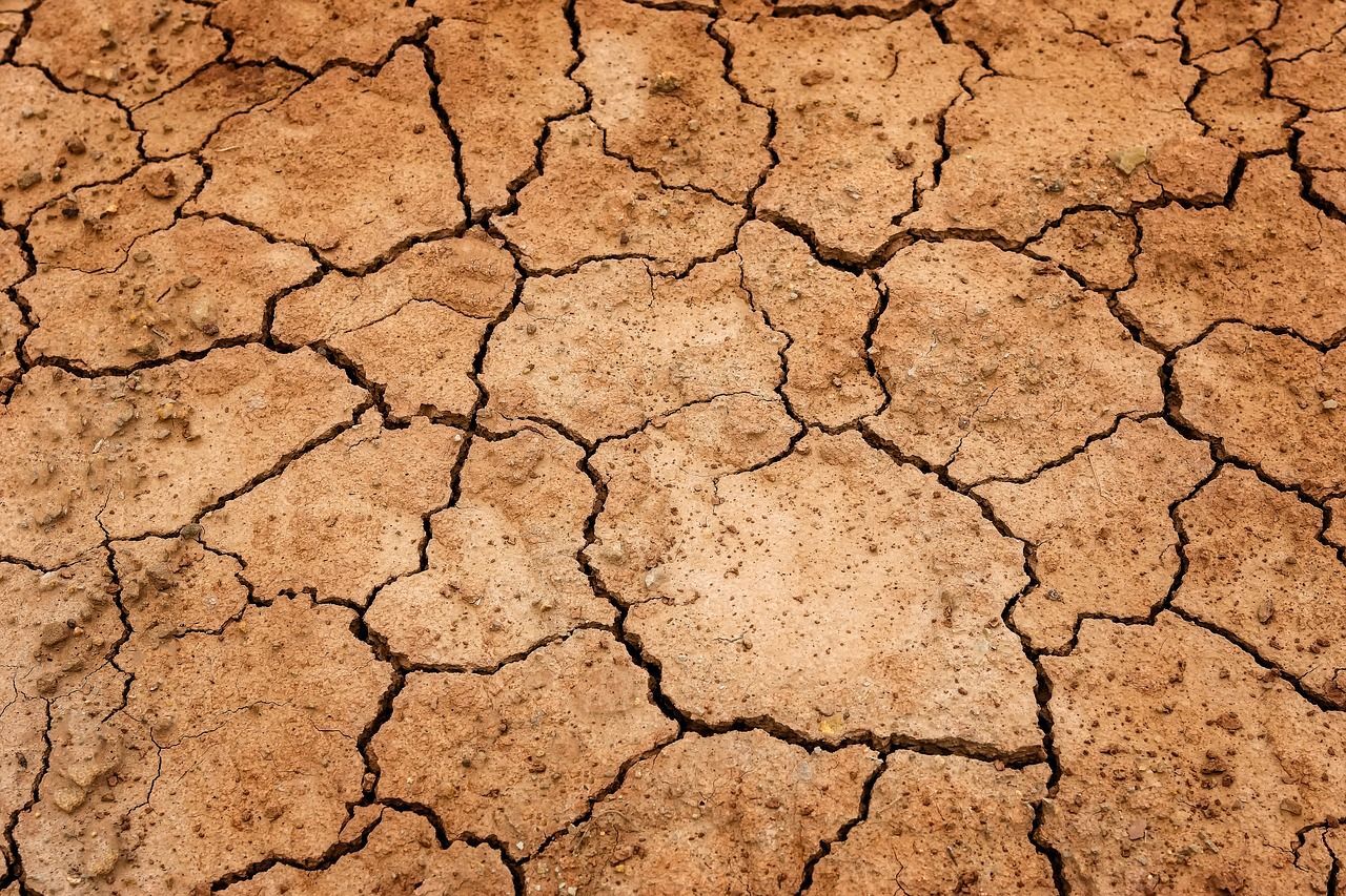 Глобальний дефіцит води: невтішний прогноз-2030