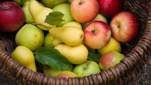 Дефіцит яблук і груш спровокував скорочення українського експорту