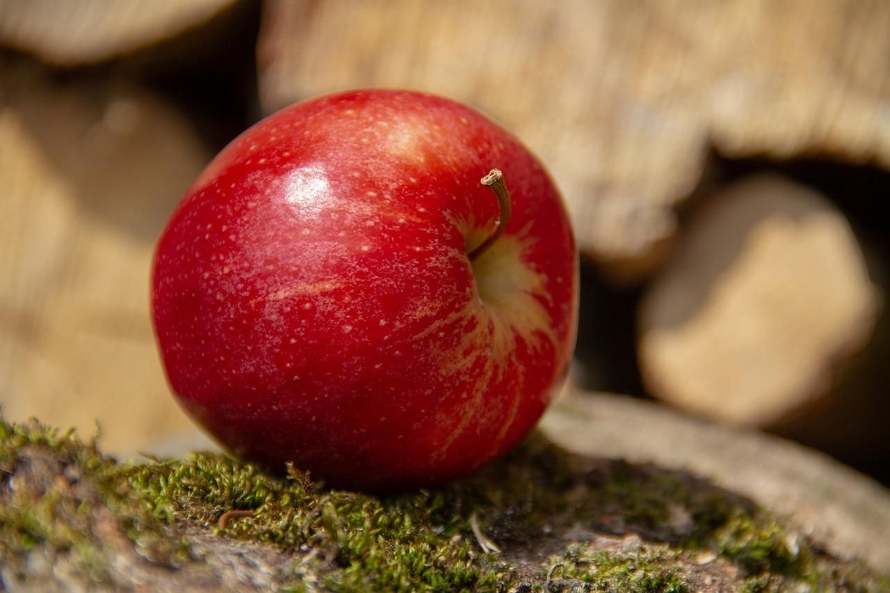 Самый стойкий к засухе сорт яблок: вердикт ученых