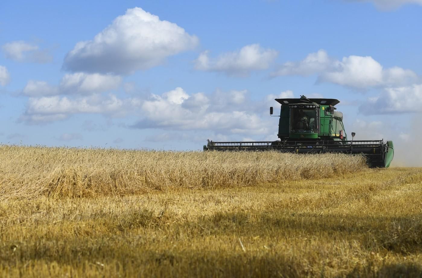 Аграрный сектор Украины в 2021 году покажет третий результат в истории