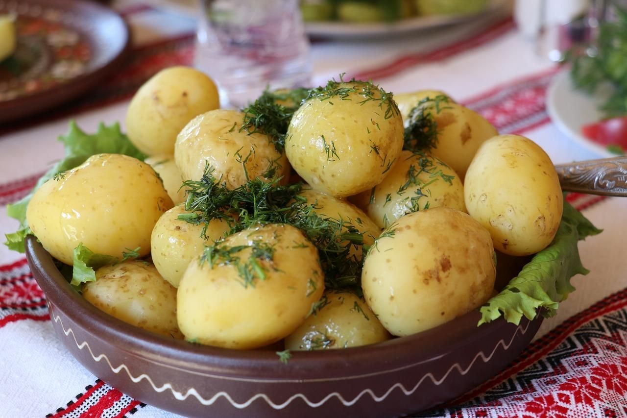 Молода картопля вийшла на українські ринки