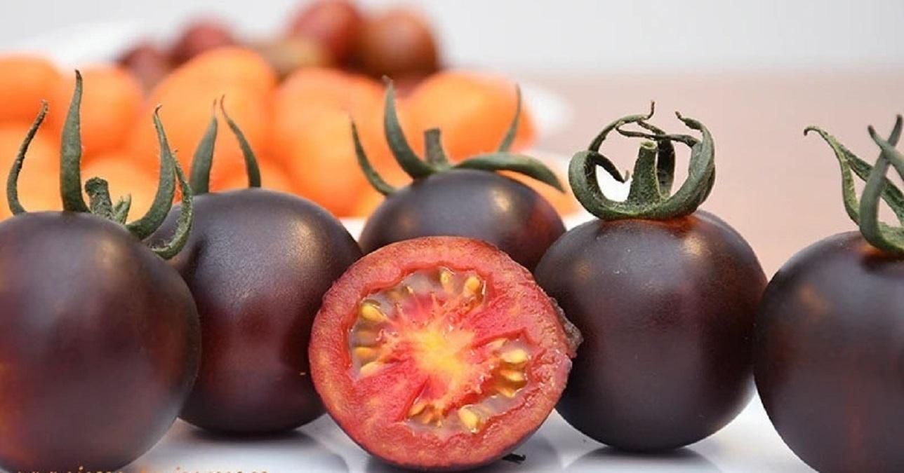 Коктейльный томат Yoom Коктейльный томат Yoom