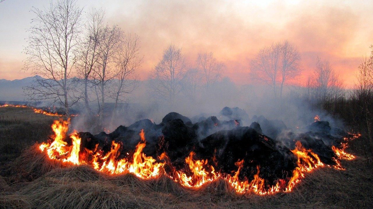 Пожежі в Україні