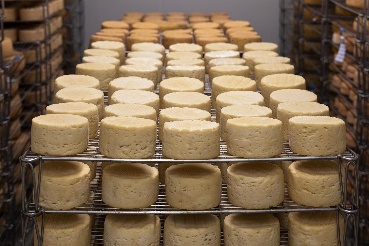 Белок без молока немецкие ученые работают над инновационным сыром