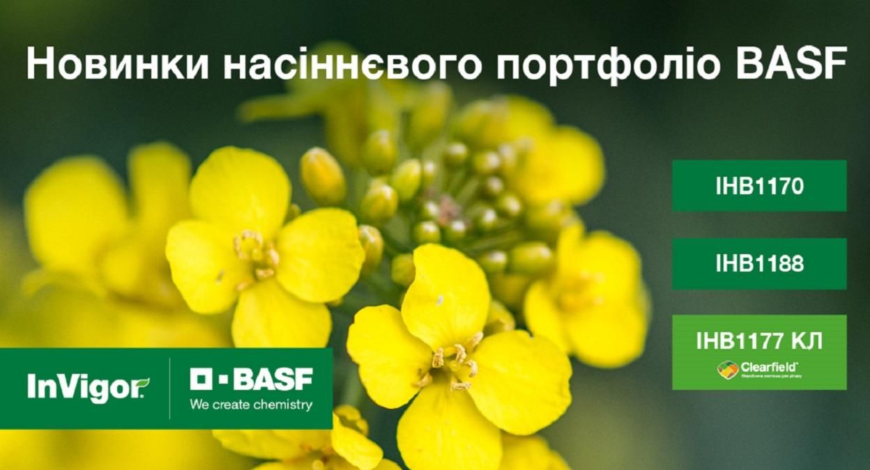 Новинки семенного портфолио BASF