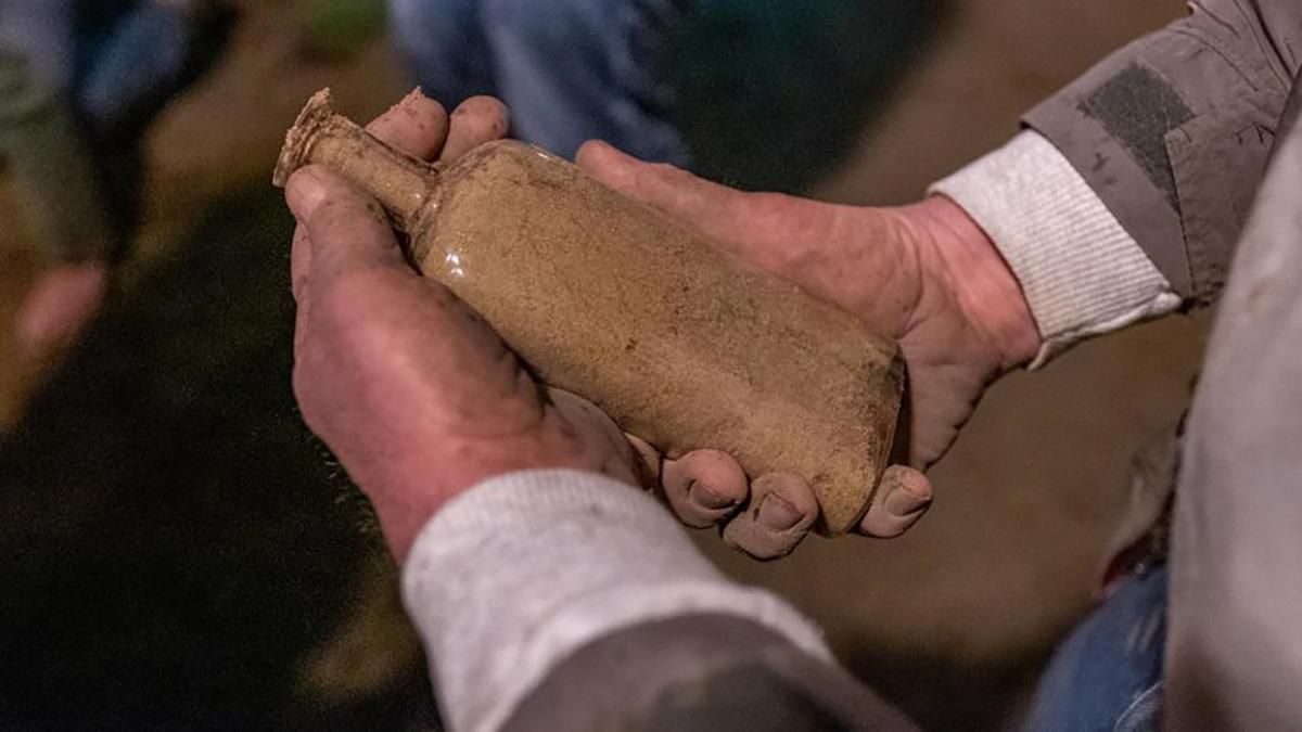 142-річний експеримент з насінням бур'янів 142-річний експеримент з насінням бур'янів