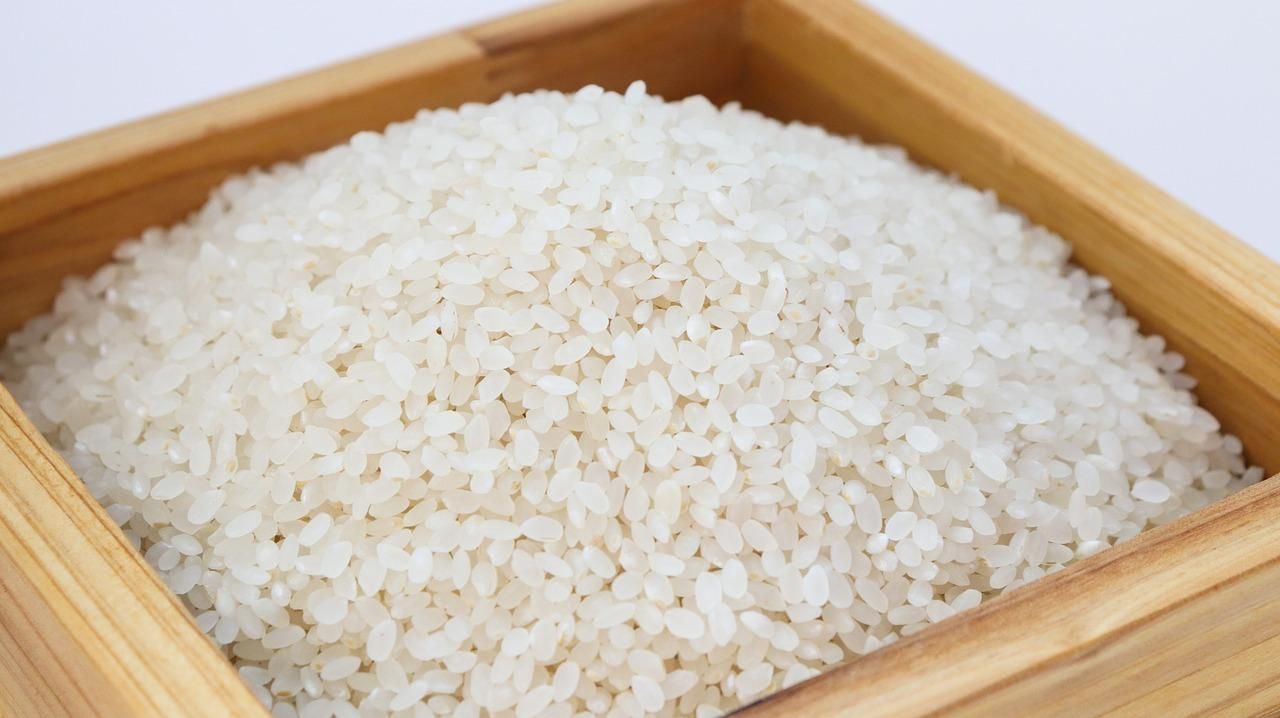 Какой рис самый полезный: вывод ученых