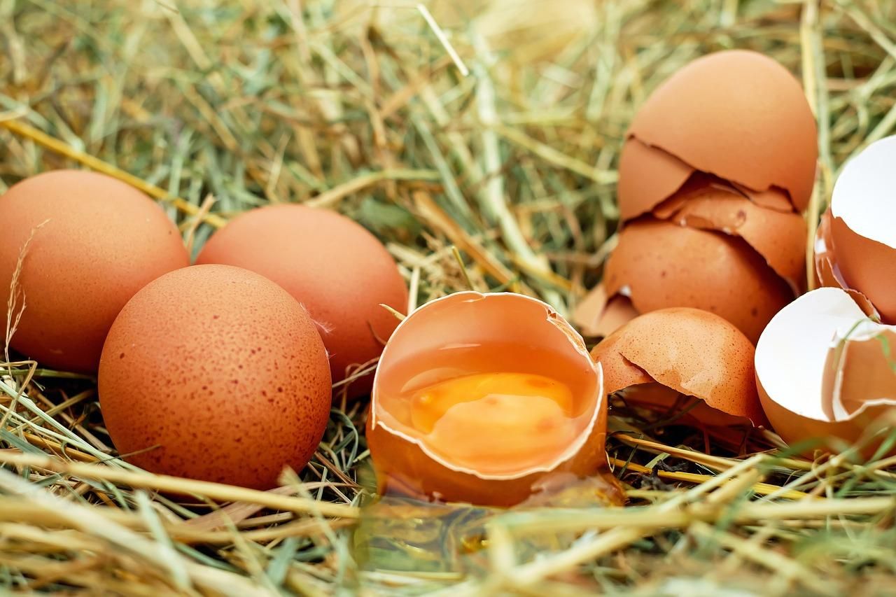Яйця в Україні впали в ціні