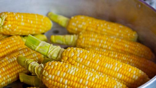 В Укране резко упала цена на кукурузу