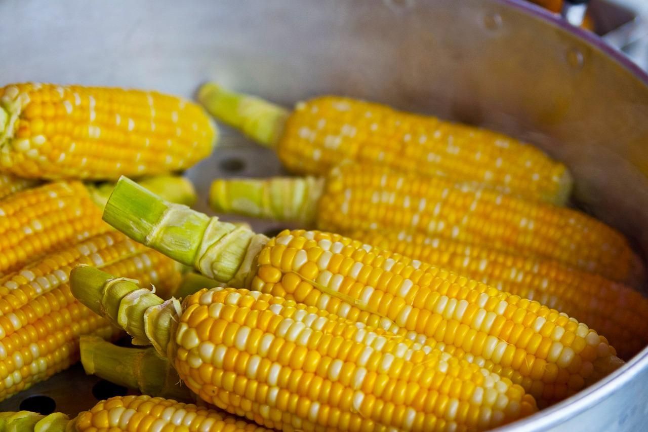 В Укране резко упала цена на кукурузу