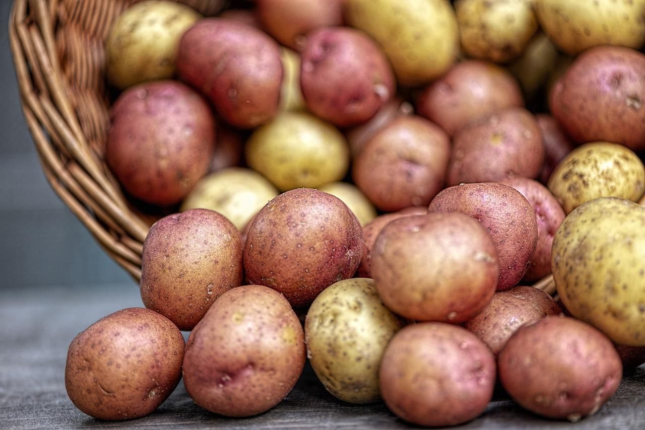 Україна зменшила імпорт картоплі