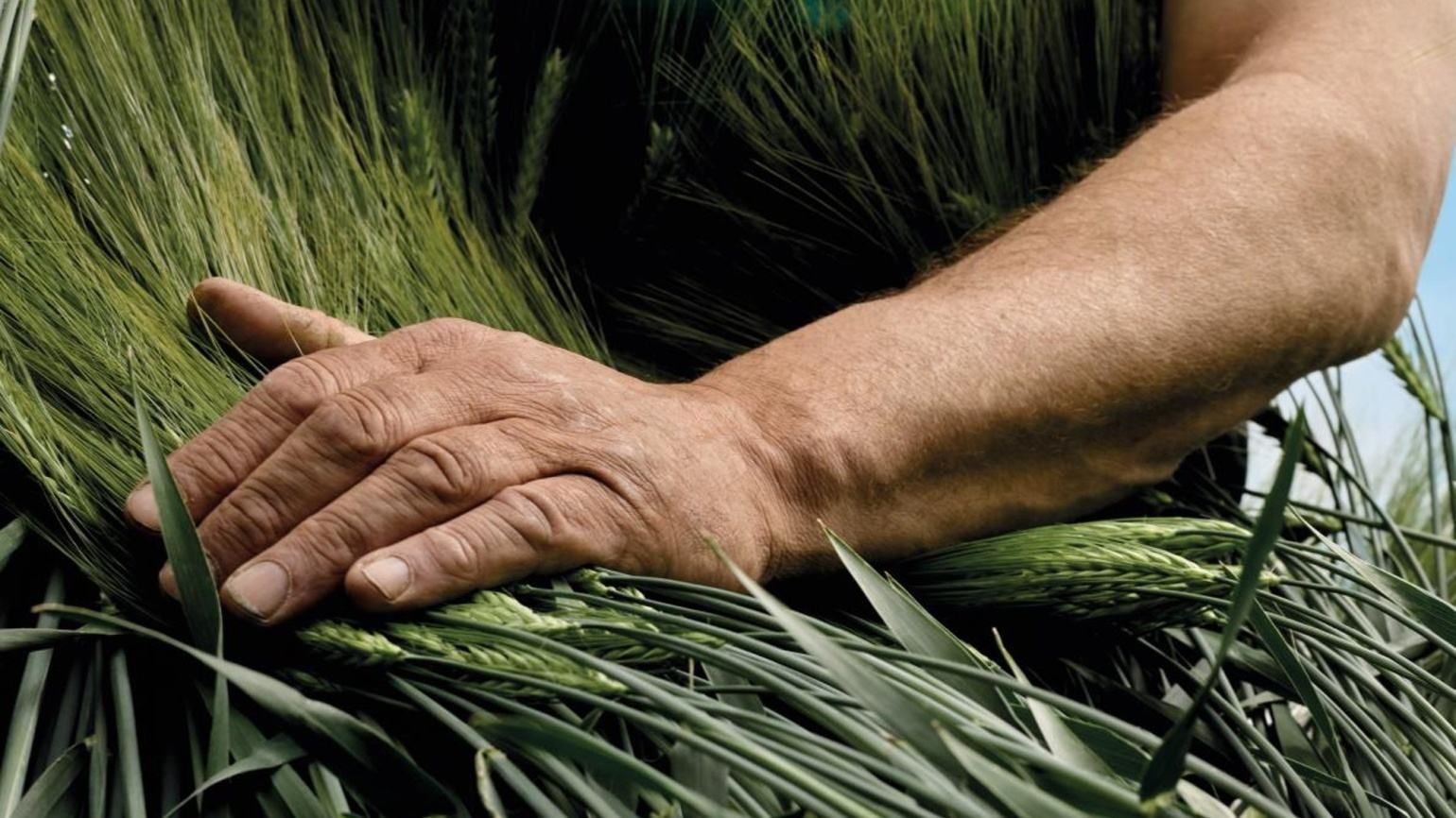 Держава захищатиме фермерів Держава захищатиме фермерів