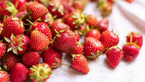 В Украине начался сезон клубники: сколько стоят ягоды в 2021 году