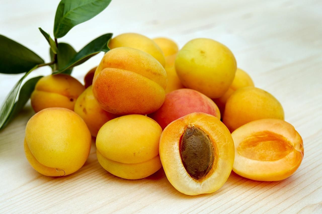 Вчені вивели новий сорт абрикосу: що в ньому особливого