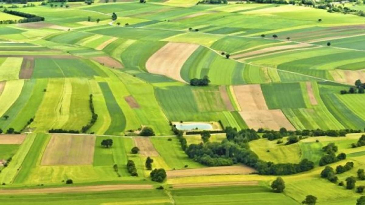 Україна в очікування ринку землі Україна в очікування ринку землі