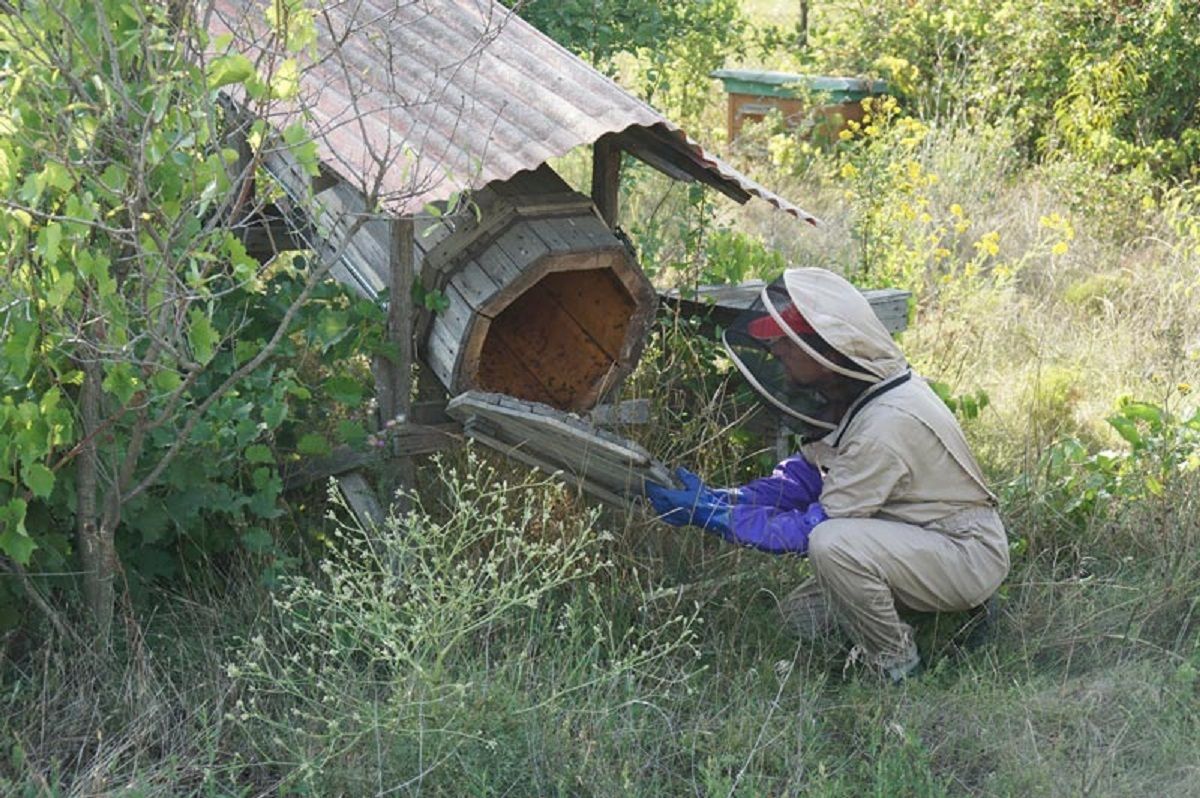 Пчеловоды создадут Медовый парк