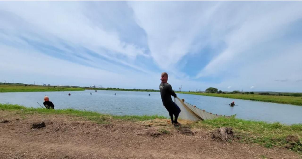 Акваферма Longville Park Farm Акваферма Longville Park Farm