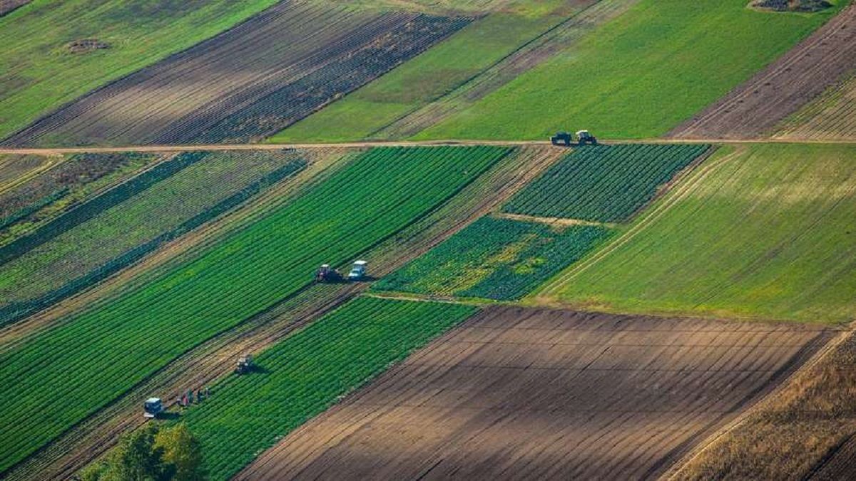 Земля в Україні Земля в Україні