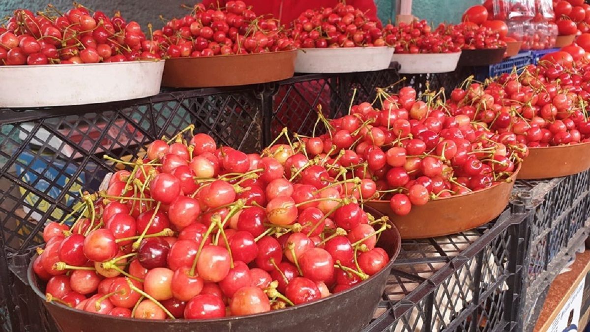 Черешня в Украине Черешня в Украине