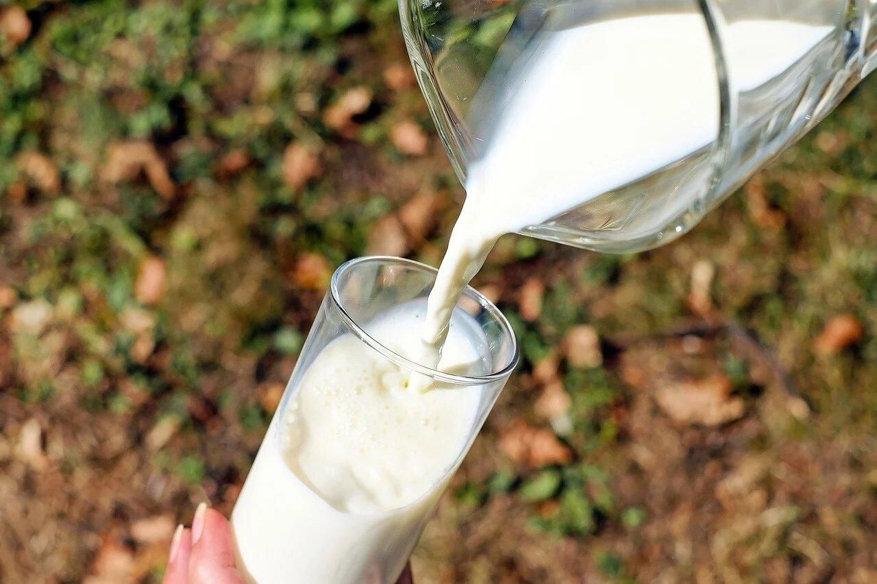 Україна скоротила виробництво молока 