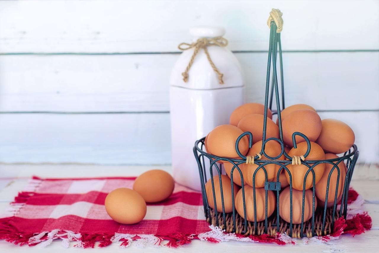 Україна суттєво скоротила виробництво яєць: чого чекати далі
