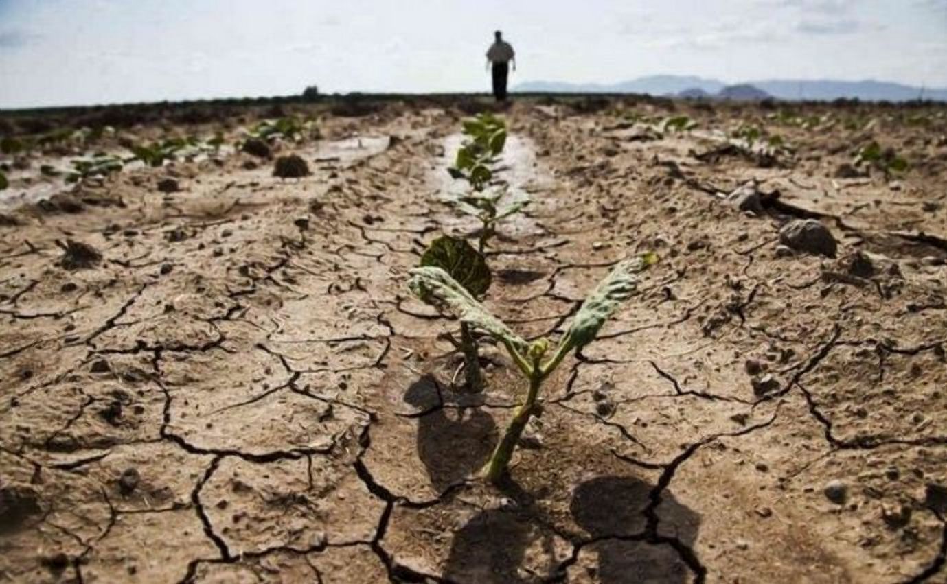 Україна – серед лідерів країн, в яких може виникнути посуха
