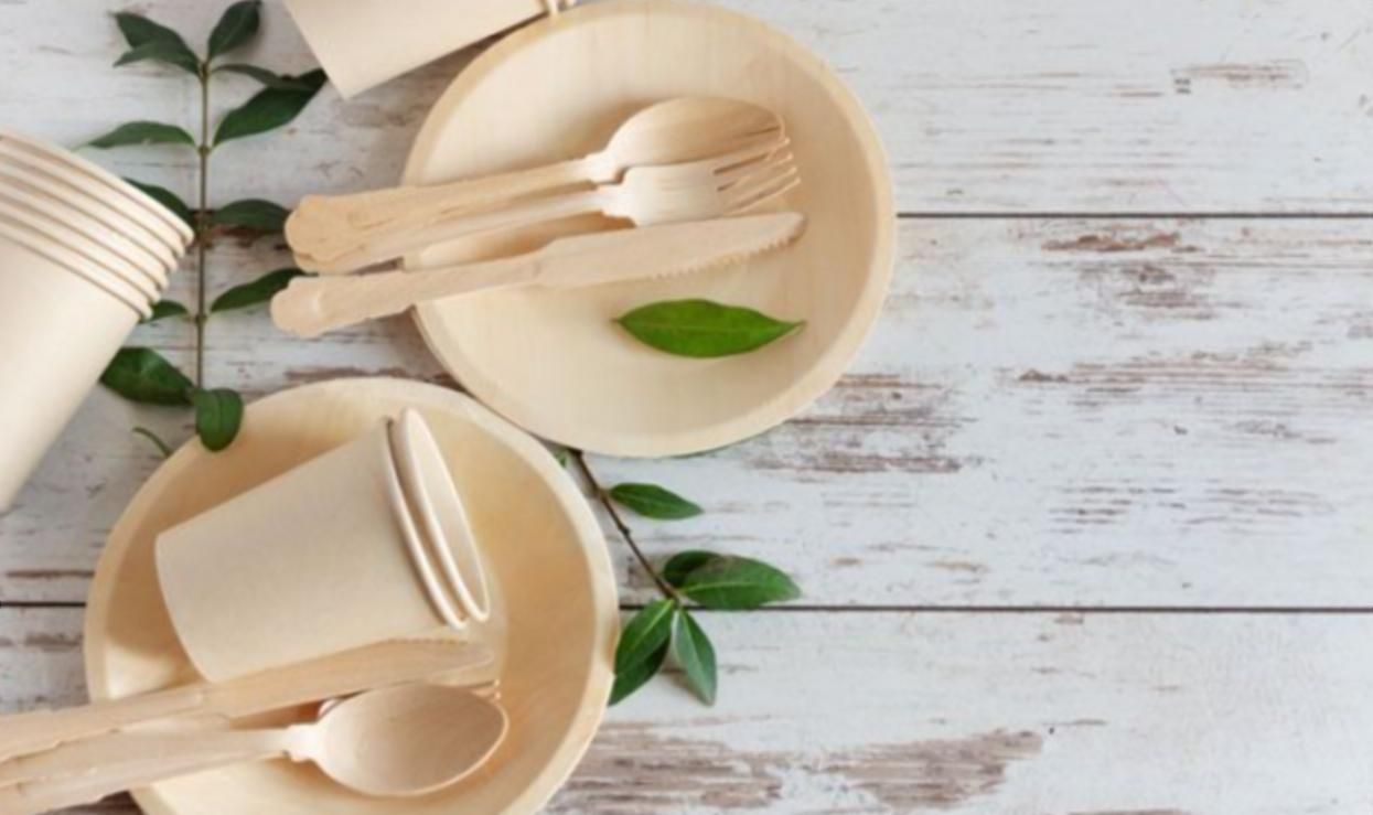 Біопосуд з конопель: у Житомирі розробили унікальну новинку Біопосуд з конопель: у Житомирі розробили унікальну новинку